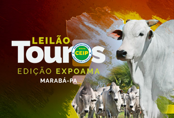 LEILÃO TOUROS AGROPECUÁRIA JACAREZINHO - EDIÇÃO EXPOAMA